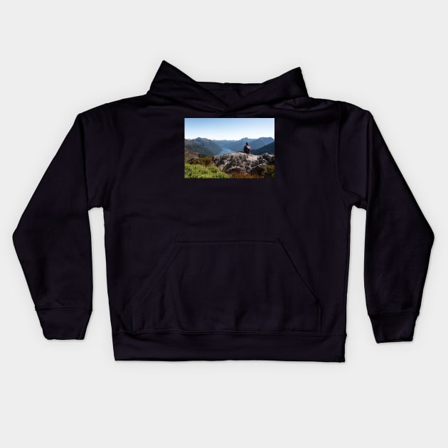 Resting During the Hike with Mountain view on Kepler Track Kids Hoodie by Danny Wanders